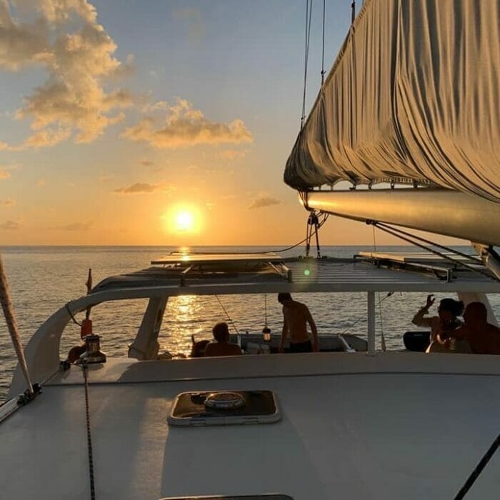 Hector - Der Sonne entgegen