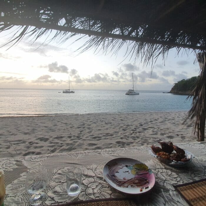 Hector - Essen am Strand