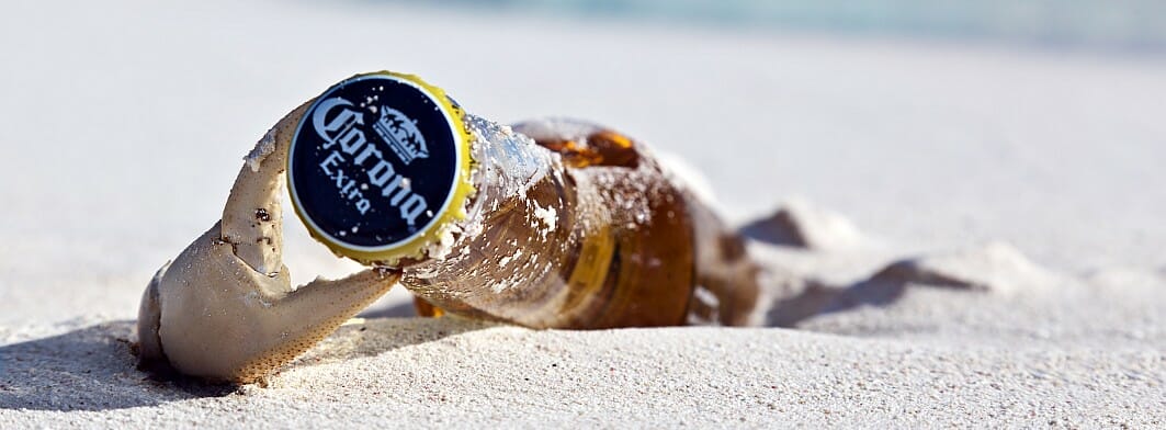 corona_crab